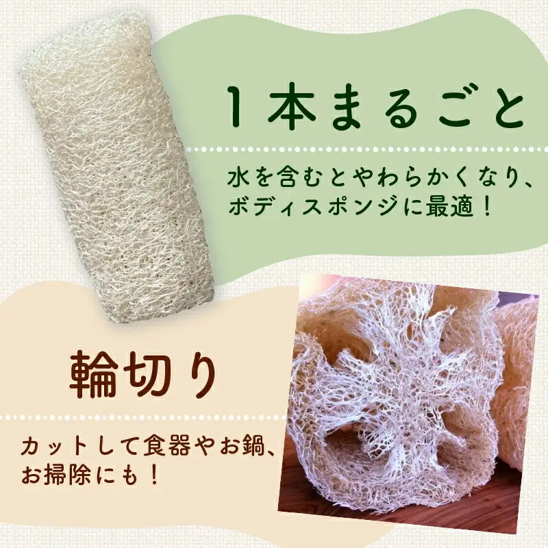 ヘチマたわし (Sサイズ) 未漂白 たわし ボディスポンジ 有機JAS認定農園