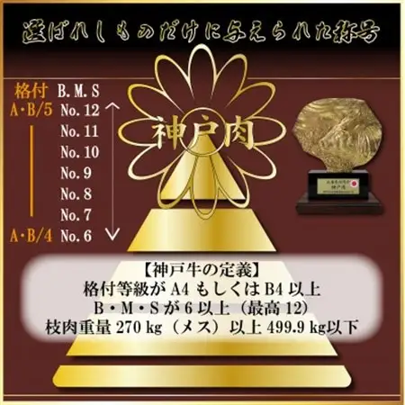 神戸牛 焼肉用セット 計1Kg AGYS5【配送不可地域：離島】【1682470】