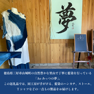 藍染 体験 てぬぐい 伝統 技術 工芸 徳島県 三好市 観光 Aoみっつの夢 【 藍染 】
