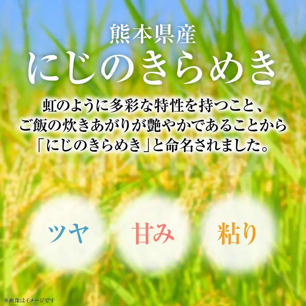 【令和7年産】  熊本県産 にじのきらめき10kg（5kg×2袋） 米 お米 精米 白米 ごはん ご飯 熊本