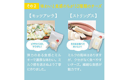 大山ホワイトチーズ_T2600404