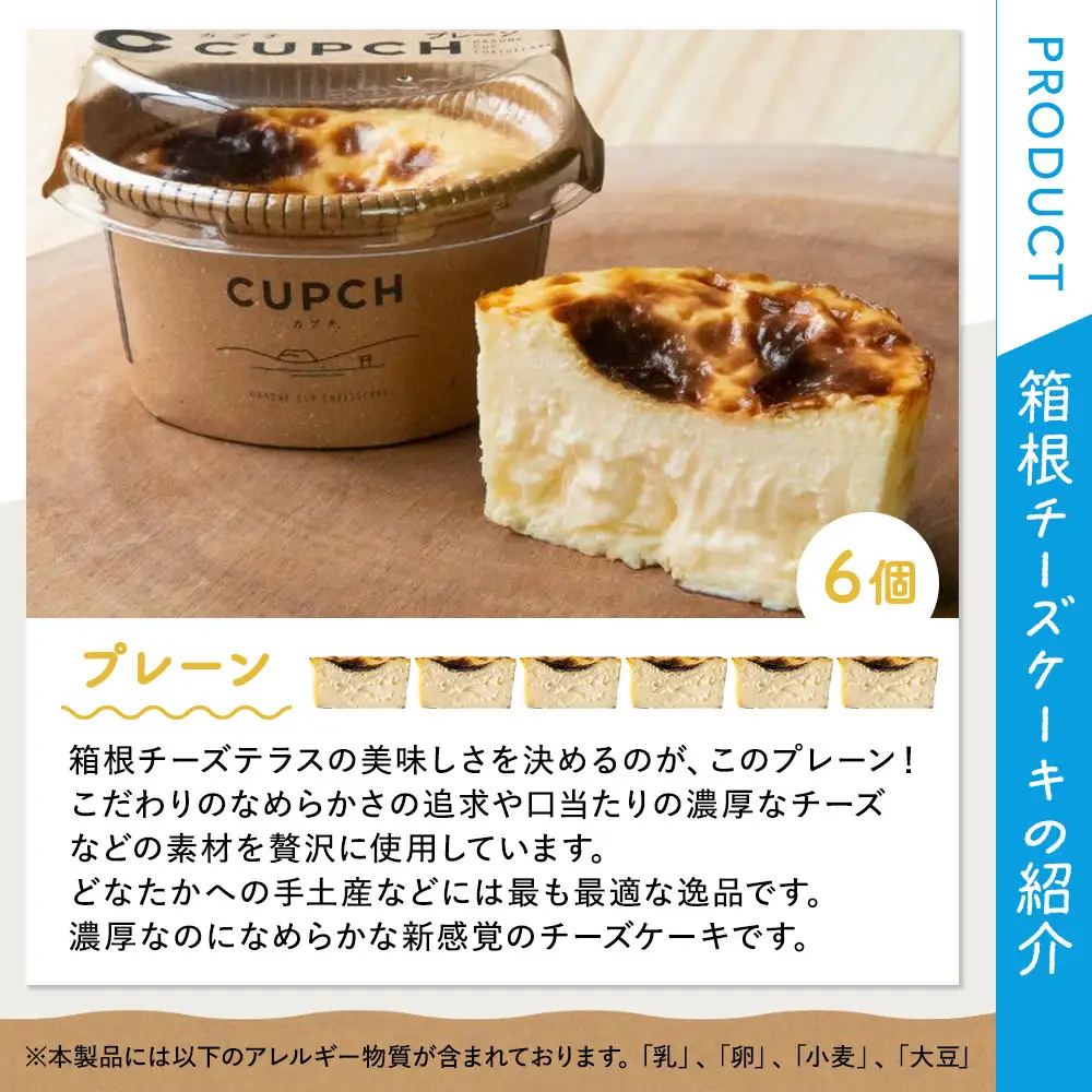 箱根発！なめらか濃厚バスクチーズケーキ 箱根チーズテラス・カプチ 【プレーン6個セット】