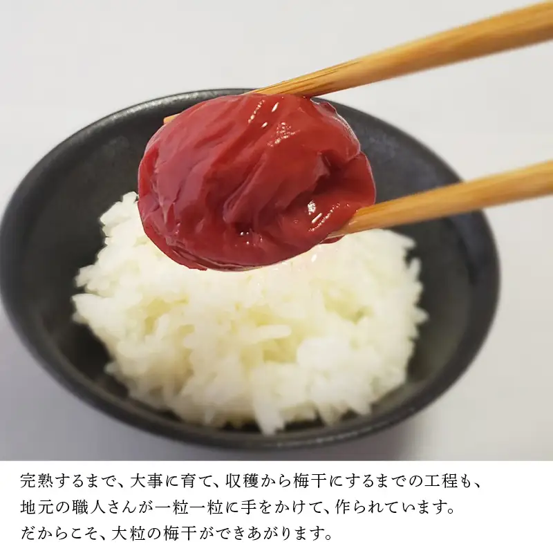 唐津市七山南高梅 減塩しそ梅 (500g☓1) 梅干し