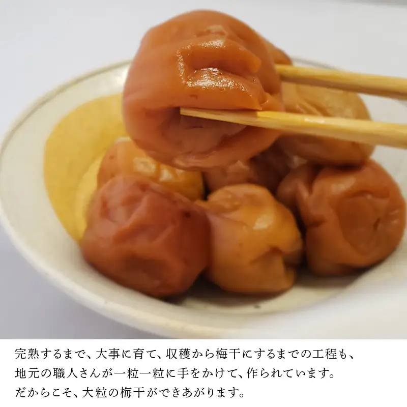 唐津市七山南高梅 はちみつ梅 (500g×1) 梅干し