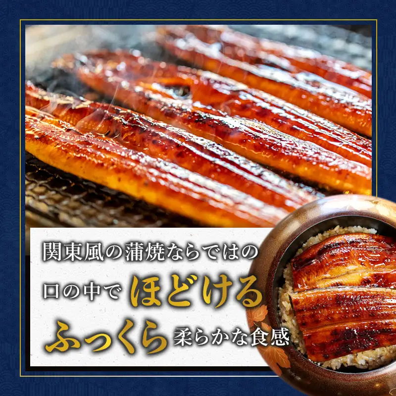 浜名湖産 うなぎ蒲焼き 特製タレ付き 2尾