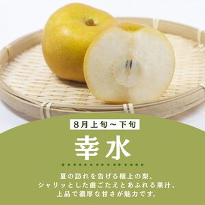 栃木県産梨 幸水 3kg