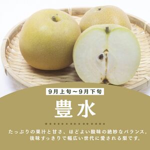 栃木県産梨 豊水 3kg