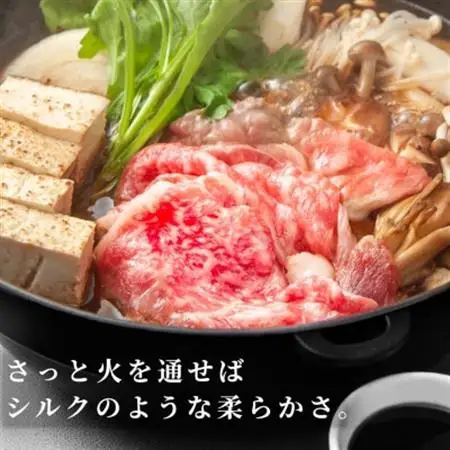 飛騨牛【白銀ロース】すき焼き・しゃぶしゃぶ用500g【配送不可地域：離島】【1681895】