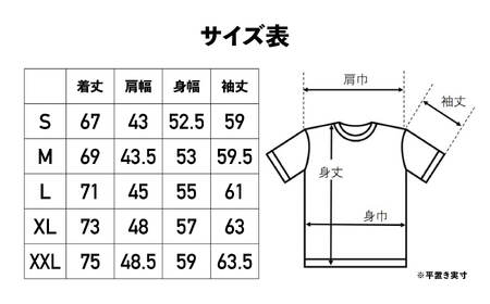 CHUMS×HAKUBA 長袖Tシャツ S /ティールブルー