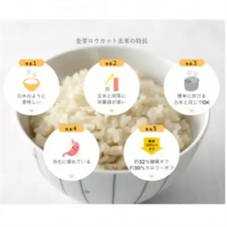 【毎月定期便】金芽ロウカット玄米4kg(2kg×2袋)ふっくら柔らかい美味しさ!全2回【4076255】