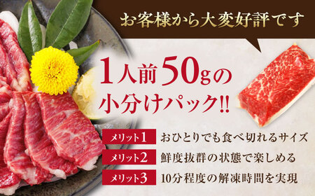【全3回定期便】国産 霜降り馬刺し2種セット 約500g 馬刺し[AYBP006]