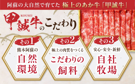 【全12回定期便】あか牛リブローススライス 約800g あか牛スライス[AYCQ050]
