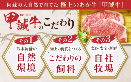 【全6回定期便】あか牛サーロインステーキ 約200g×2枚 あか牛サーロインステーキ[AYCQ057]