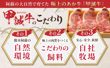 【全6回定期便】あか牛サーロインステーキ 約200g×3枚 あか牛サーロインステーキ[AYCQ061]