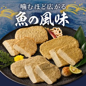 塩と地魚だけで作った天ぷらセット N006-YA4431