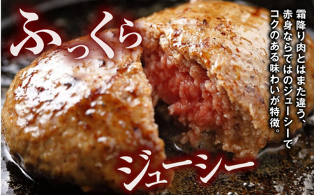 【全12回定期便】くまモンあか牛ハンバーグ 約120g×6個 ハンバーグ[AYCQ078]