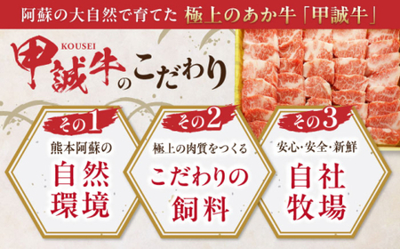 【全6回定期便】あか牛カルビ焼肉セット 約400g あか牛焼肉[AYCQ093]