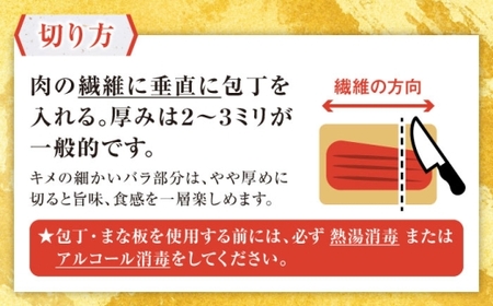【全3回定期便】熊本肥育 馬刺し 赤身 約500g 馬刺し[AYDM006]