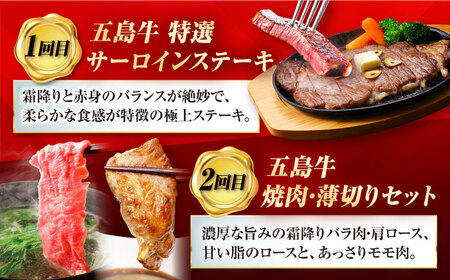 【12回定期便】大満足！五島牛 ファミリー特撰コース 五島市/五島市ふるさと納税[PZX030]