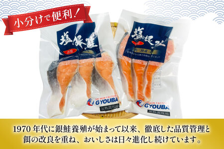 6回 定期便 塩銀鮭パック 3切×2袋×6回 総計12袋 [たみこの海パック 宮城県 南三陸町 m304amh560082]