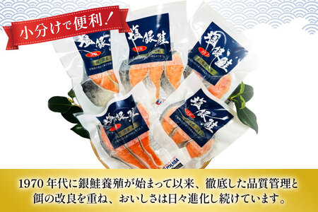 12回 定期便 塩銀鮭パック 3切×5袋×12回 総計60袋 [たみこの海パック 宮城県 南三陸町 m304amh560087]