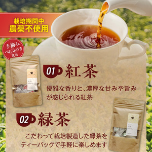 三色のお茶飲み比べ　ティーバッグ _ 三色 お茶 飲み比べ ブラックティー紅茶 グリーンティー緑茶 レッドティーハイビスカスローゼルティー 各 10パック 国産 栽培期間中 農薬不使用 こだわり 栽培 茶葉 淹れ方 水出し 急須 オフィス お取り寄せ 福岡県 久留米市 送料無料  〔Ex234〕