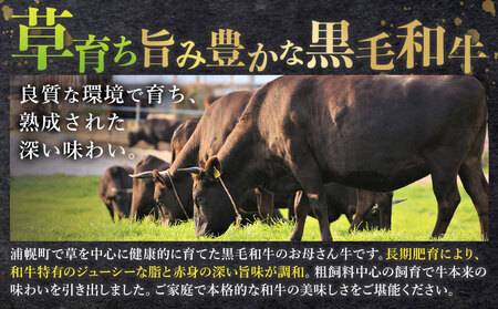 北海道産 黒毛和牛 うらほろ完熟ビーフ 切り落とし 900g 熟成 牛肉 浦幌
