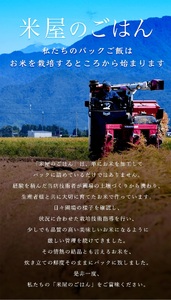 【パックご飯】 みずほの輝き 150g×18食 米杜氏 壱成 新潟良食味品種 大粒 艶やか つや 冷めてももっちり 1H56010