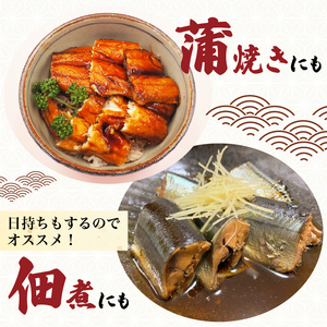 【予約】 さんま 約1kg ＼ 秋刀魚 ／ 冷蔵