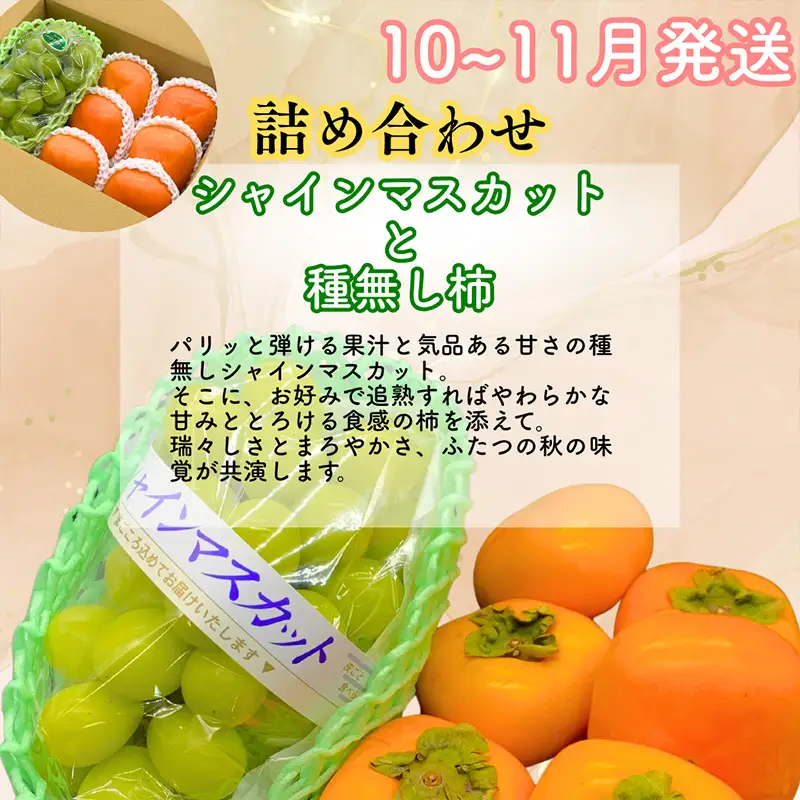 【定期便3回】山形果匠【旬のよりどり定期便】全3回 1回で2種味わえる楽しみ【令和8年産先行予約】FS25-088