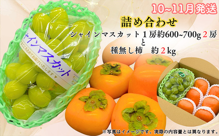 【定期便3回】山形果匠【旬のよりどり定期便】A 全3回 1回で2種味わえる楽しみ【令和8年産先行予約】FS25-089