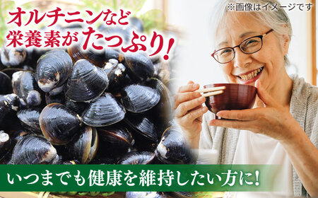 【砂抜き不要】お湯をそそぐだけ！宍道湖産しじみのみそ汁1食用×40袋セット 島根県松江市/平野醤油[ALCA019]