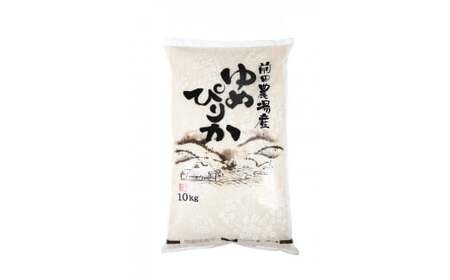 【 令和7年産 】 ゆめぴりか （ 白米 ） 10kg 北海道 鷹栖町 前田農場 米 コメ こめ ご飯 白米 お米 コメ 白米