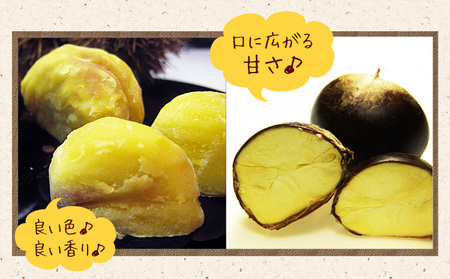 【先行予約】利平栗  約1kg(3L-2Lサイズ)《2026年9月上旬-10月上旬出荷》