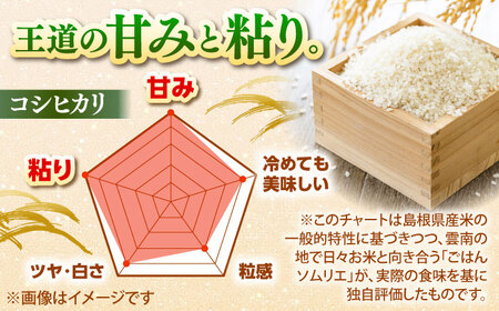 【令和7年産】雲南市産米 コシヒカリ 白米 5kg（5kg×1袋）精米 [AIDB105] 
