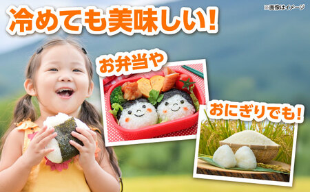 【全3回定期便】吉田げんき米コシヒカリ 5kg [AIDB120] コシヒカリ