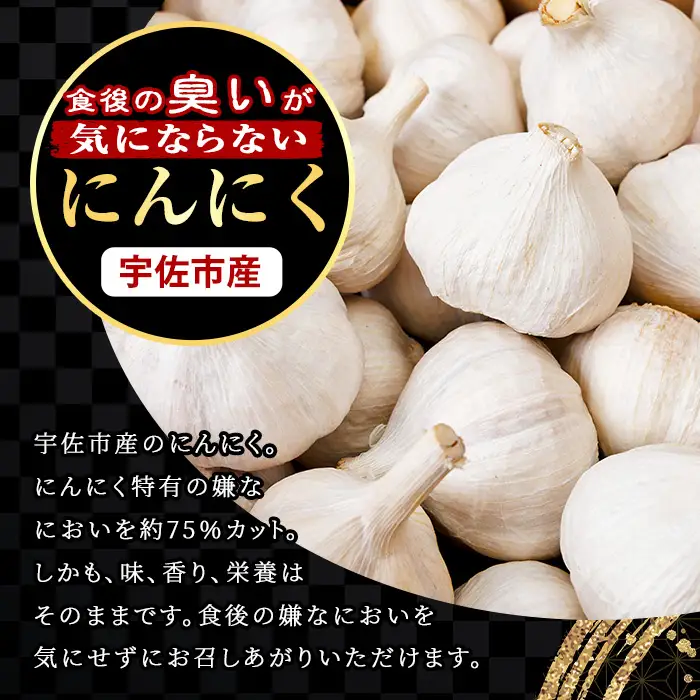 ＜先行予約受付中！2026年9月上旬以降順次発送予定＞＜訳あり・不揃い＞食後のにおいが気にならないニンニク(計1kg) にんにく ニンニク 野菜【116600200】【シイズンドアグリ】
