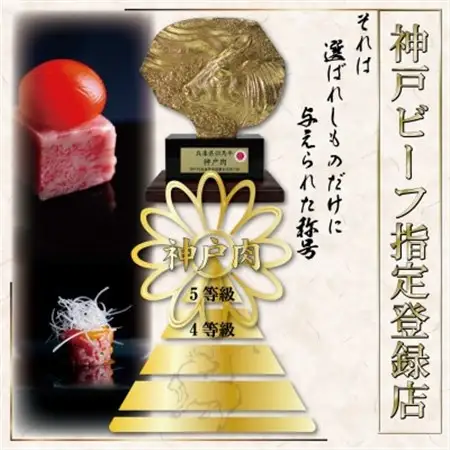 訳あり 神戸牛 サイコロステーキ(おまかせ) 500g KKWDS3【配送不可地域：離島】【1683036】