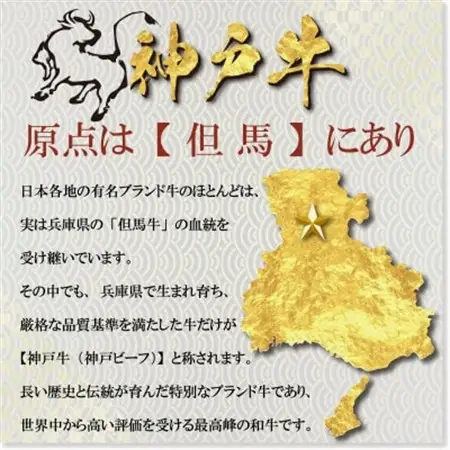 神戸牛 しゃぶしゃぶ・すき焼き用セット 計1Kg YBSS5【配送不可地域：離島】【1681998】