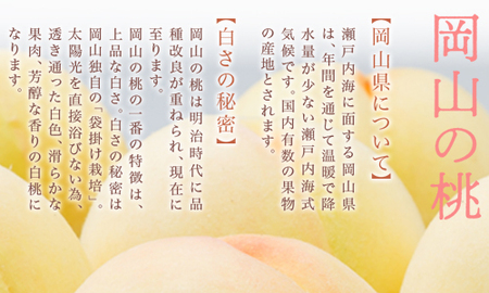 Eo-1【令和8年発送・先行予約】岡山県産　白桃6玉（合計1.6kg以上）　化粧箱入り