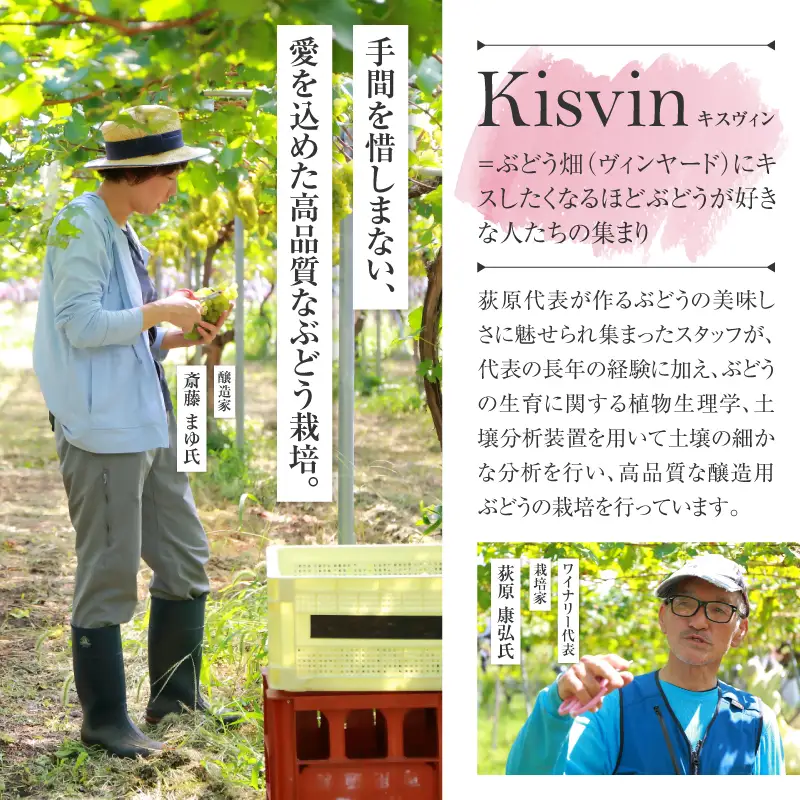 ワイン 【数量限定】Kisvin Winery（キスヴィンワイナリー）ワイン6本セット（NS）G2-640