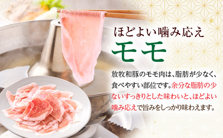 豚肉 しゃぶしゃぶ 豚肉[モモ 300g 放牧和豚]
