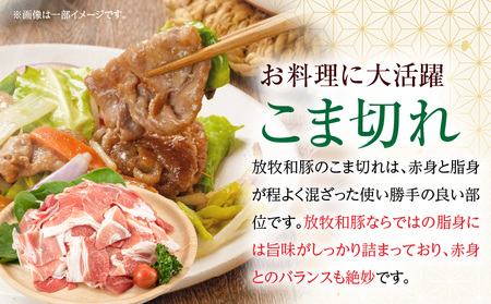 豚肉 こま切れ 豚肉[500g 放牧和豚]