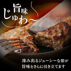 【定期便／年6回／偶数月お届け】むなかた牛ハンバーグ12個セット6回定期便【道の駅むなかた】_HB0212