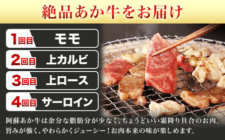 【6ヶ月定期便】阿蘇あか牛満喫セット 株式会社LARKS《お申し込み月の翌月から出荷開始》肉 牛肉 あか牛 ローストビーフ ハンバーグ 冷凍 名物 熊本県 毎月届く 送料無料