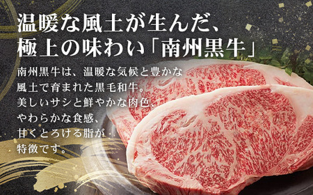 ≪全3回≫ 鹿児島県産 黒毛和牛 ◆ 贅沢 ステーキ 定期便 ◆ 南州黒牛 NS-27 ｜ 国産 牛 黒毛和牛 うし 牛肉 ロース サシ やわらかい 冷凍 ステーキ 肉定期便 定期便 鹿児島県 南大隅町 南州農場