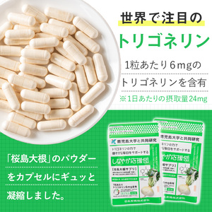 桜島大根サプリ「しなやか応援団」(60粒入×12袋・計720粒) サプリメント 大根 健康食品【日本有機】D51