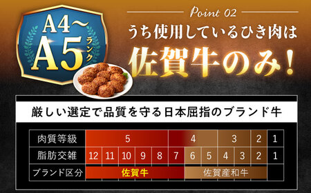 100％佐賀牛！佐賀牛デミハンバーグ 150g×10個 吉野ヶ里町/株式会社博多漁師の里[FDV001]