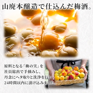 0009-106-01 高砂 山廃梅酒 500ml