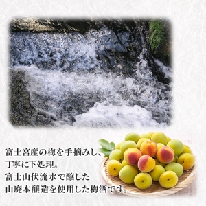 0009-106-02 高砂 山廃スッキリ梅酒 500ml